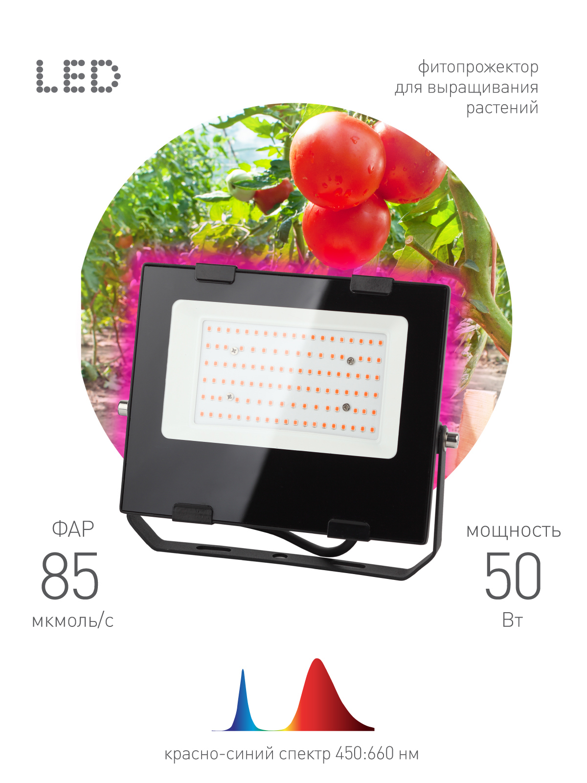 Изображение товара Фитопрожектор для растений светодиодный Эра красно-синего спектра 50 Вт