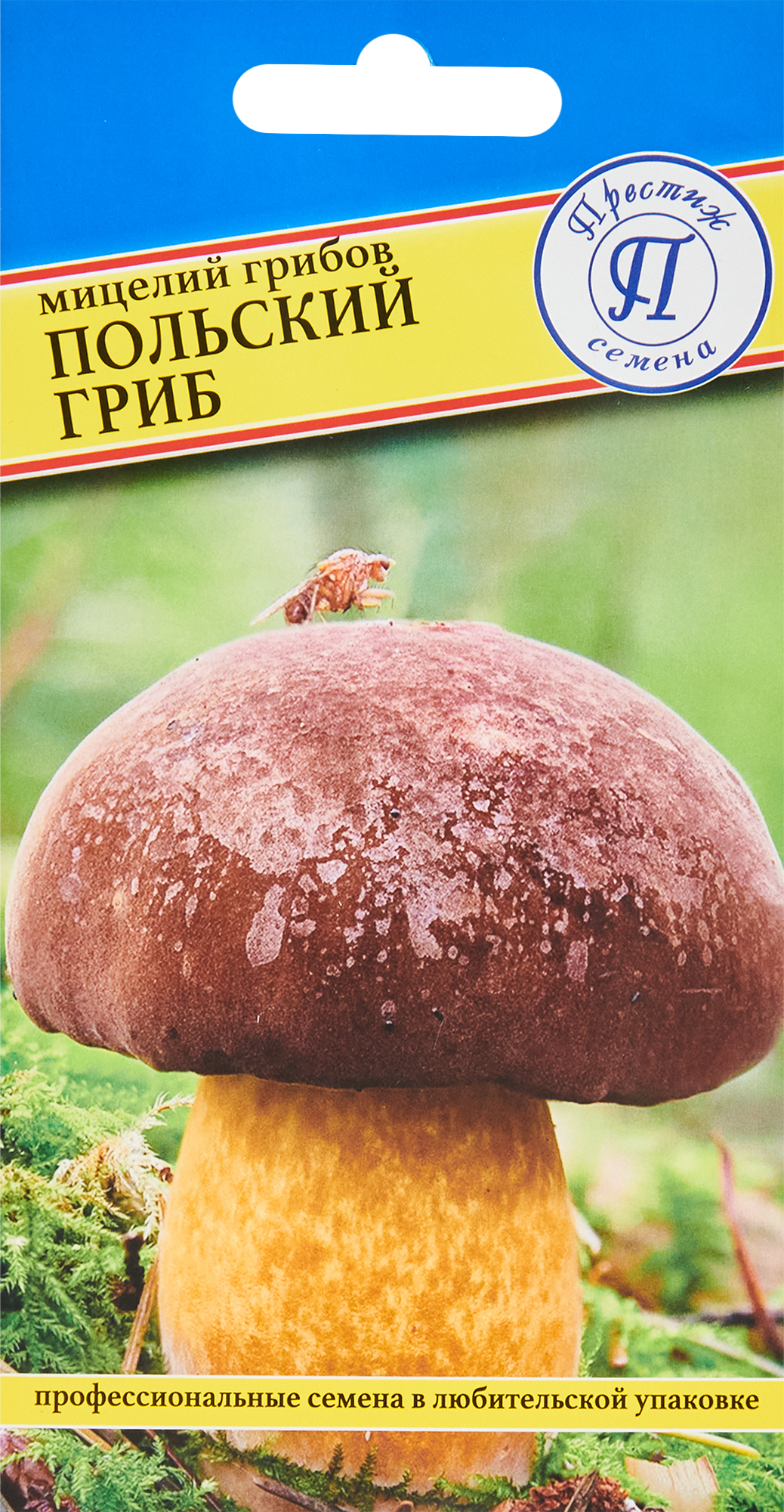 Мицелий грибов гриб Польский
