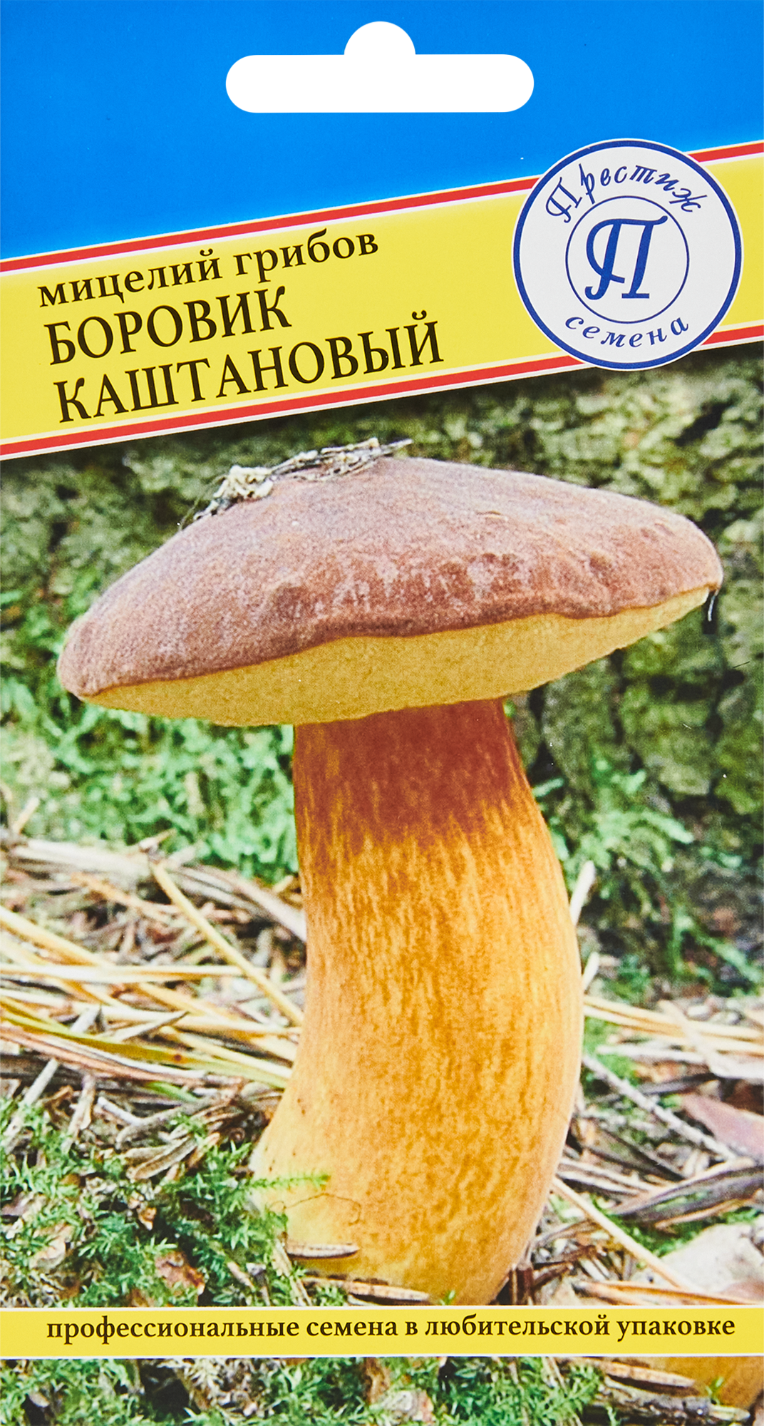 Мицелий грибов боровик Каштановый
