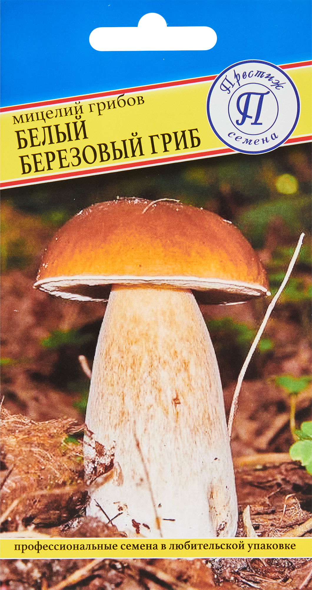 Мицелий грибов белый гриб Березовый