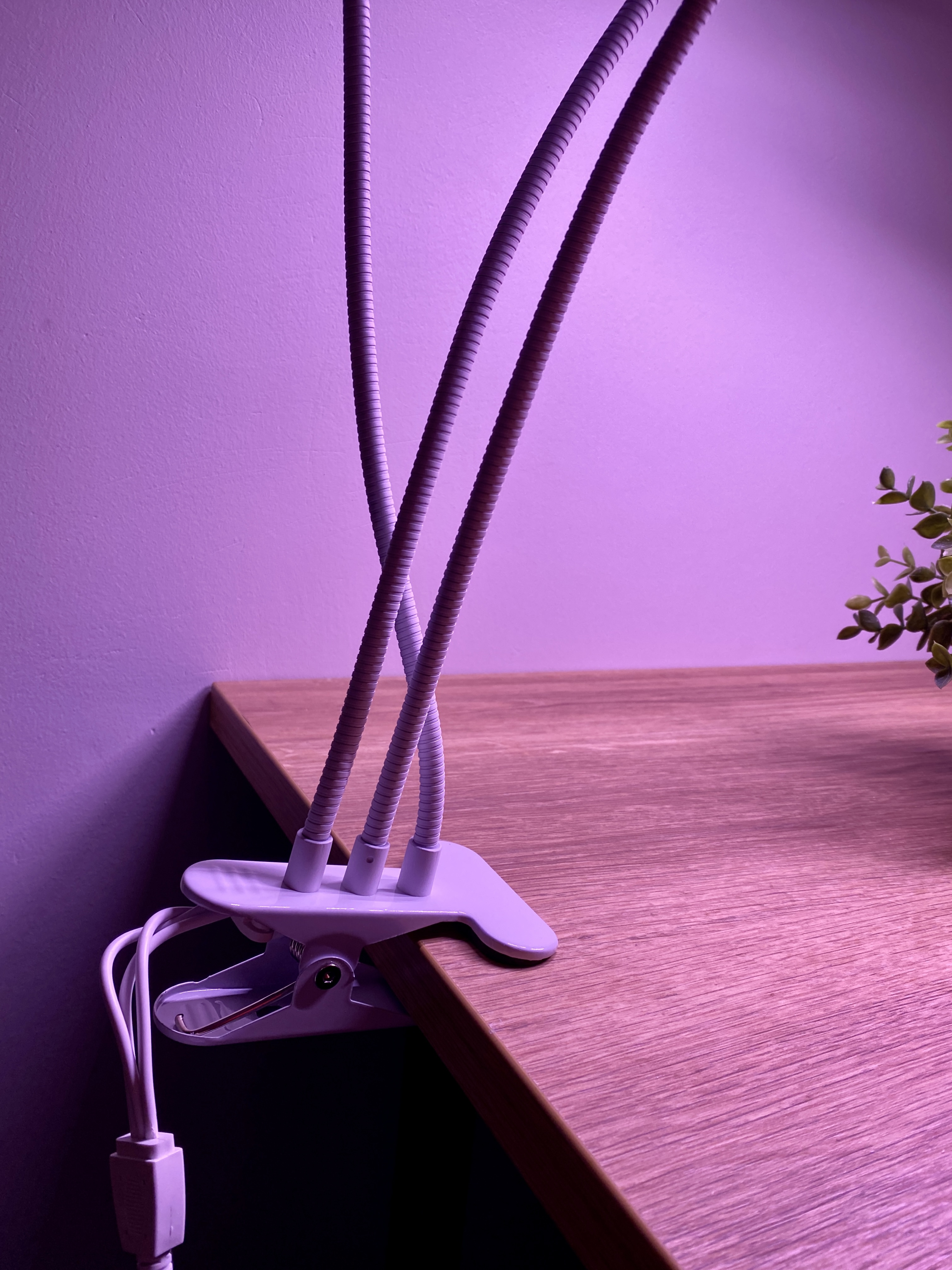 Изображение товара Фитосветильник светодиодный UNIEL ULT-P33-18W/SPLE/TM/60 IP40 WHITE TRIPLE на прищепке 18 Вт полного спектра, с таймером