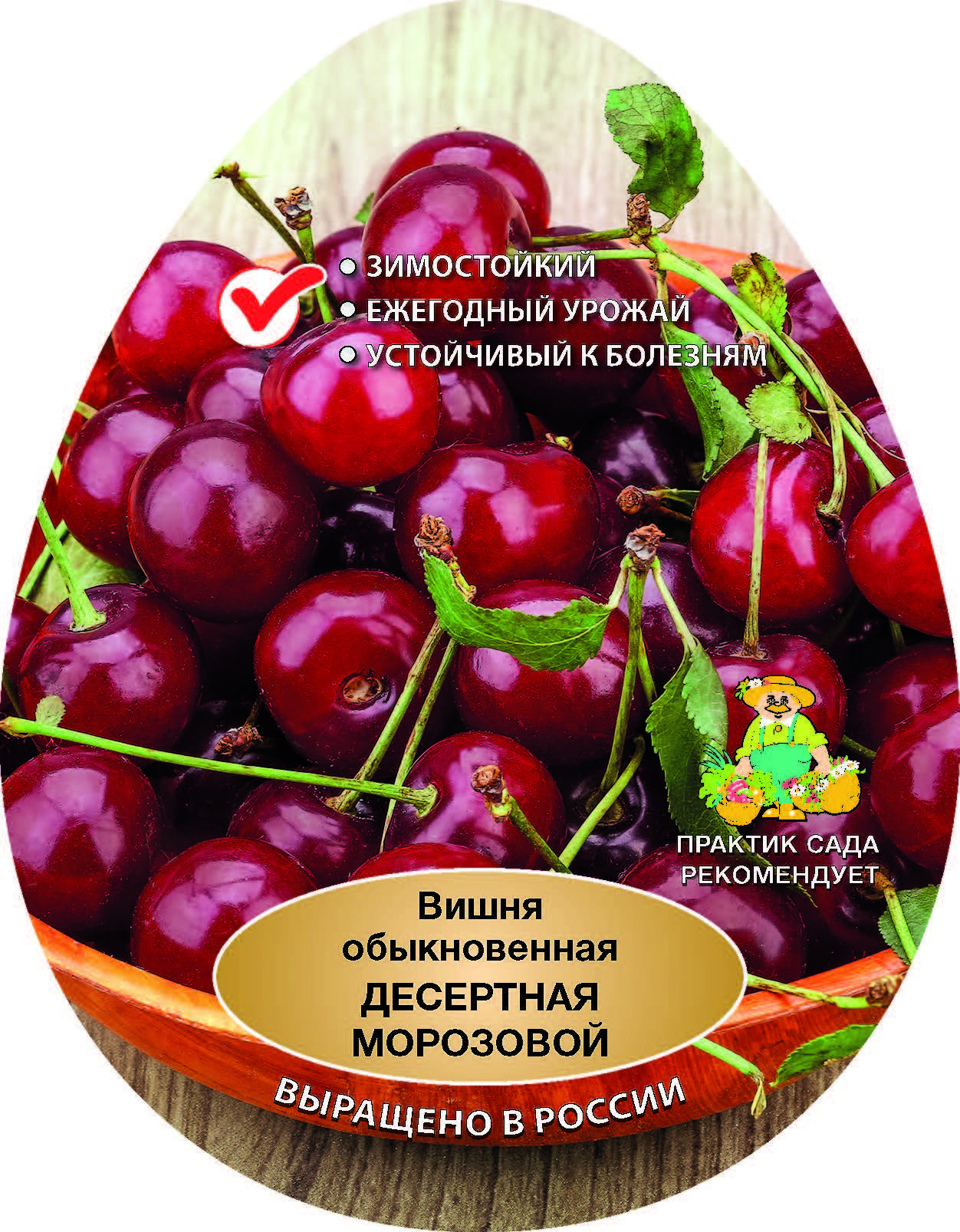 Изображение товара Вишня Десертная сетке h180 см