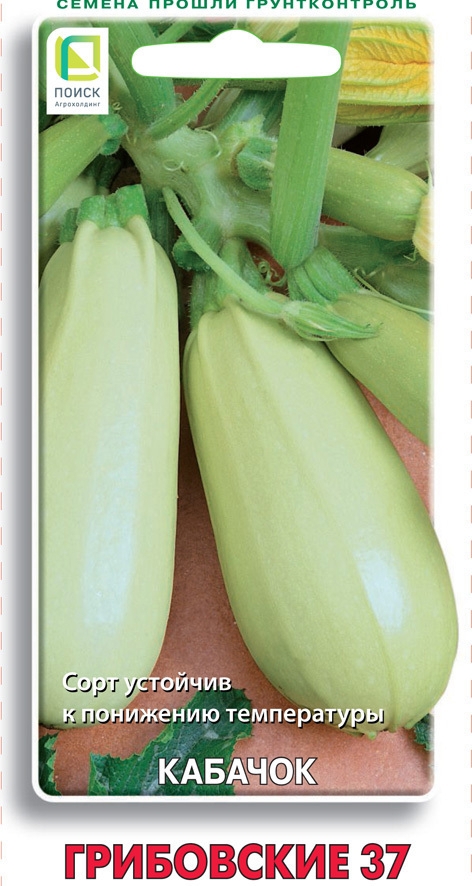 Изображение товара Семена овощей Поиск кабачок Грибовские 37 12 шт.