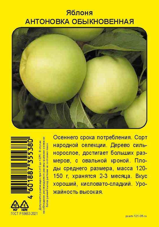 Изображение товара Яблоня Антоновка обыкновенная 90 см - зимний сорт с ароматными плодами Изображение товара Яблоня Антоновка обыкновенная 90 см - зимний сорт с ароматными плодами