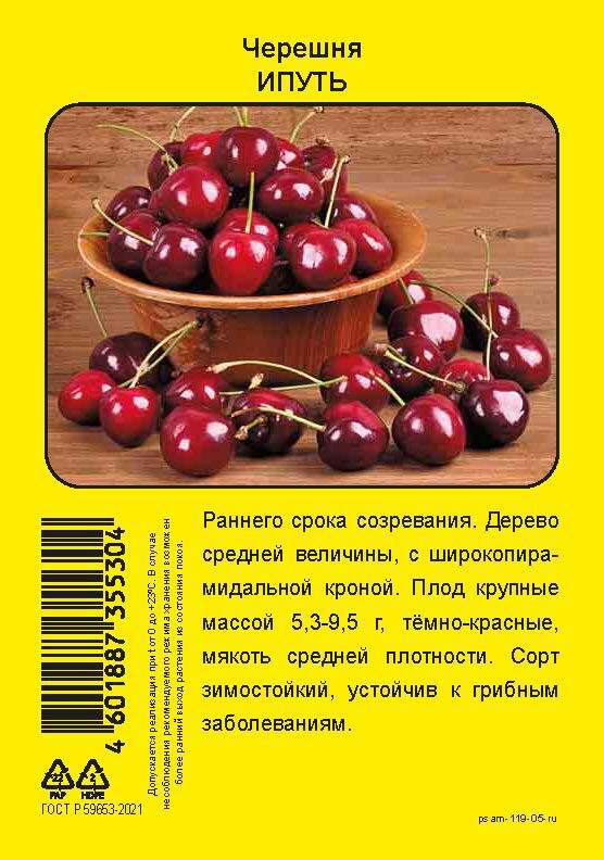 Изображение товара Черешня Ипуть - саженец плодового дерева высотой 90 см для урожая в июле Изображение товара Черешня Ипуть - саженец плодового дерева высотой 90 см для урожая в июле