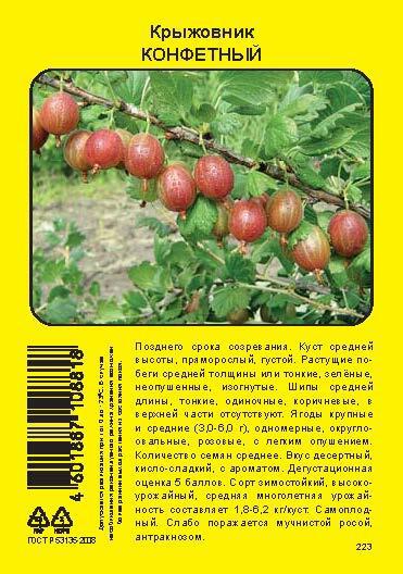Изображение товара Крыжовник Конфетный пакет h40 см