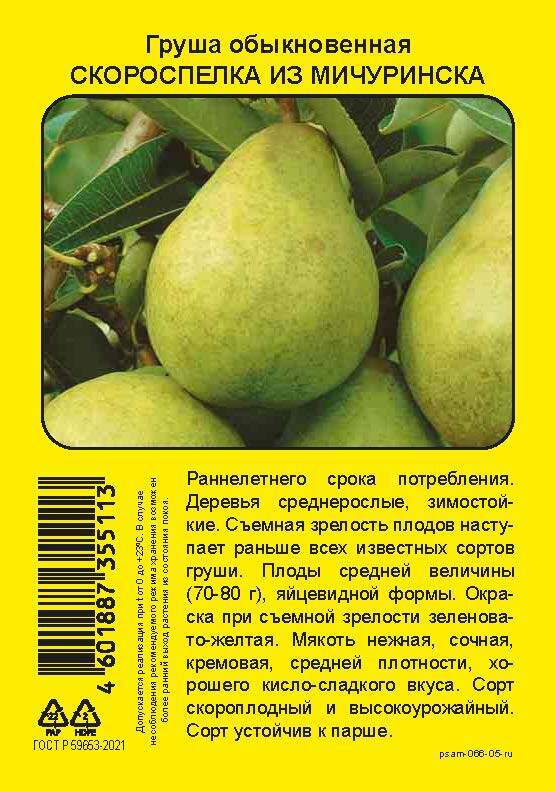 Изображение товара Груша Скороспелка из Мичуринска - раннее плодоношение, высокое качество