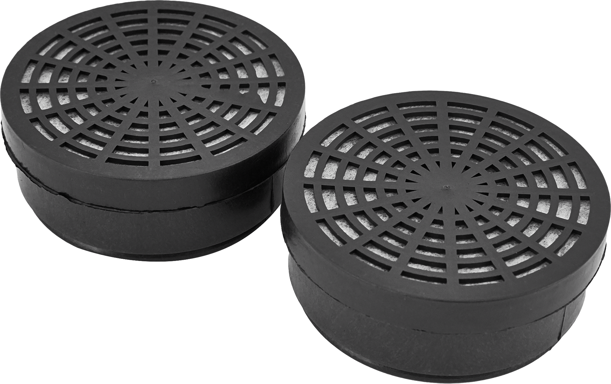 Фильтр сменный для РПГ-67 Исток 300/400 А1В1, 2 шт.