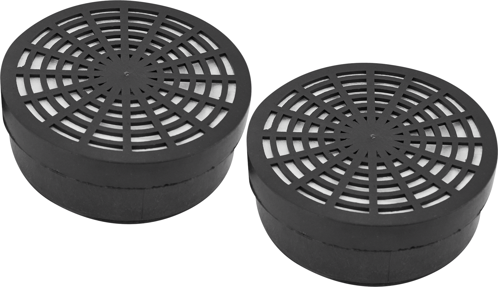 Фильтр сменный для РУ-60М Исток 300/400 А1В1Р1, 2 шт.