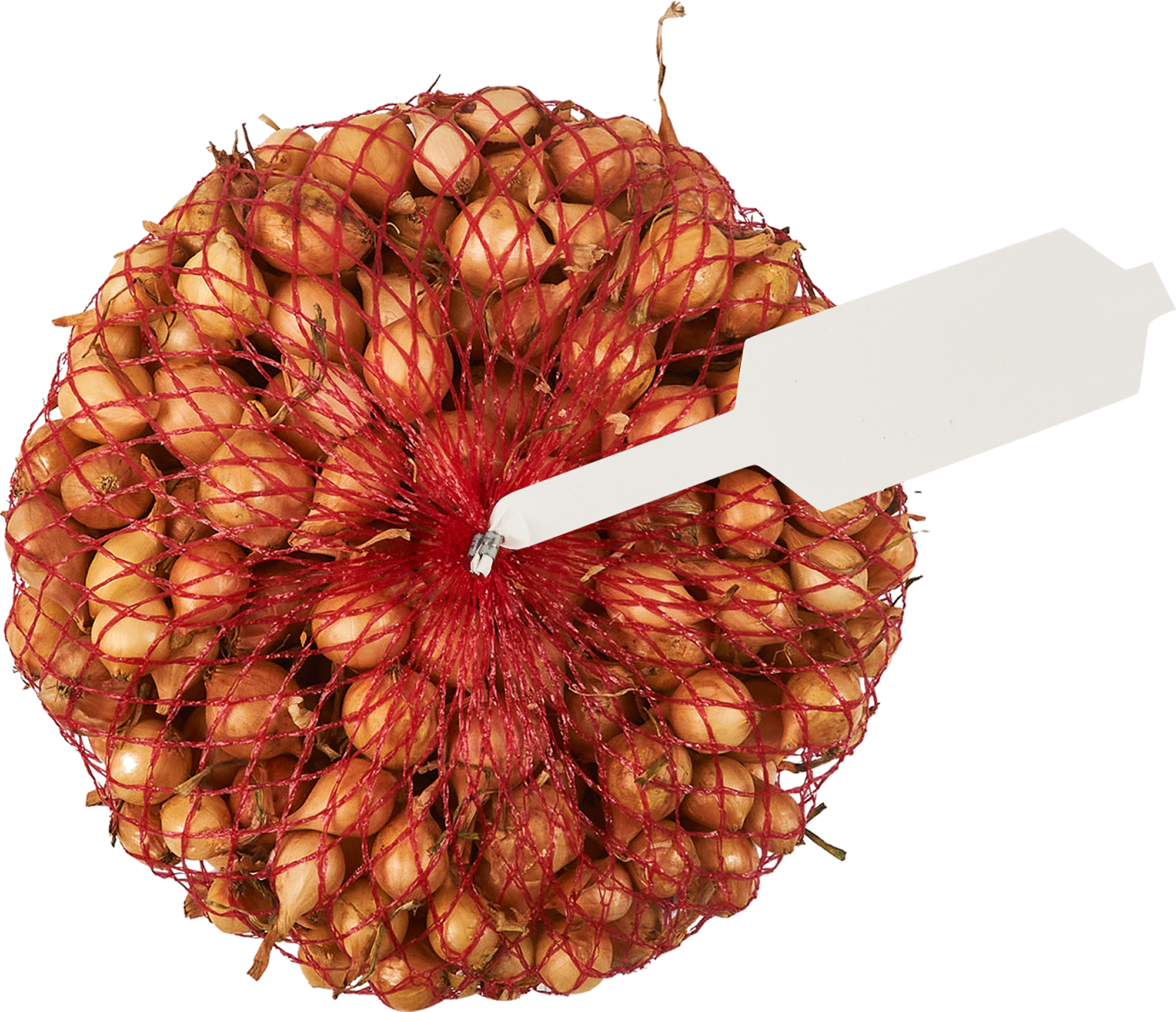 Изображение товара Лук-севок Штуттгартер Ризен 0. 5 кг - раннеспелый сорт крупный урожай