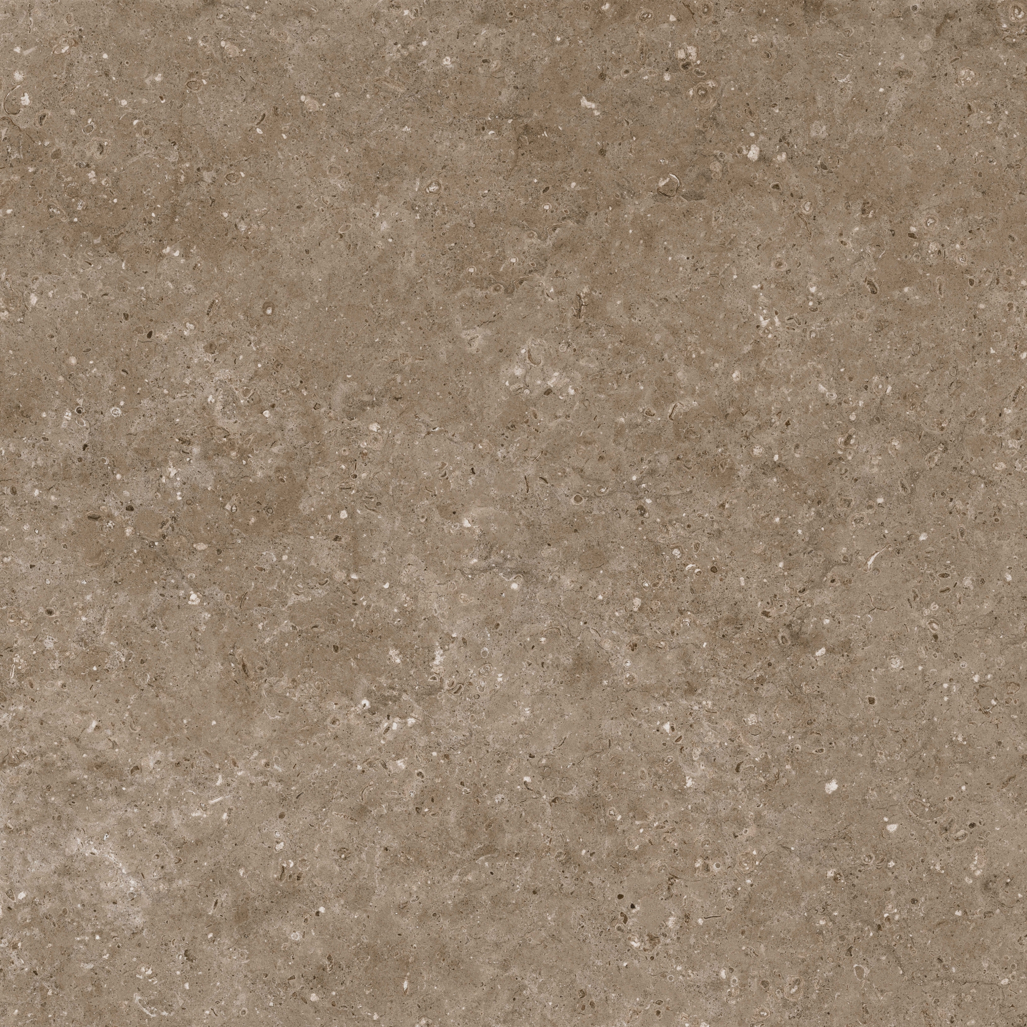 Изображение товара Керамогранит Гранитея G214M6060 60x60см 1.44 м² цвет коричневый, цена за упаковку