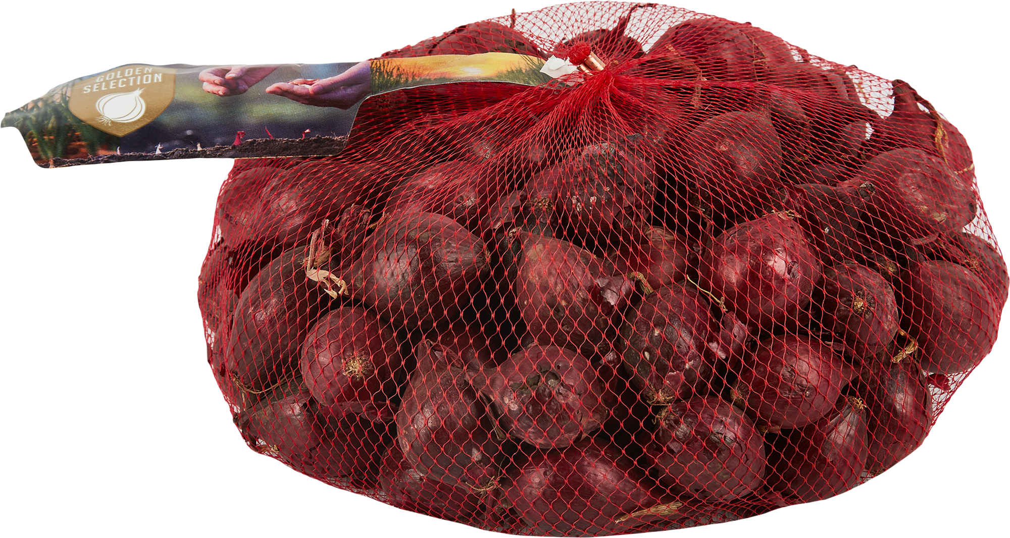 Изображение товара Лук сеялый Кармен МС 21/24 1 кг раннеспелый лук голландской селекции