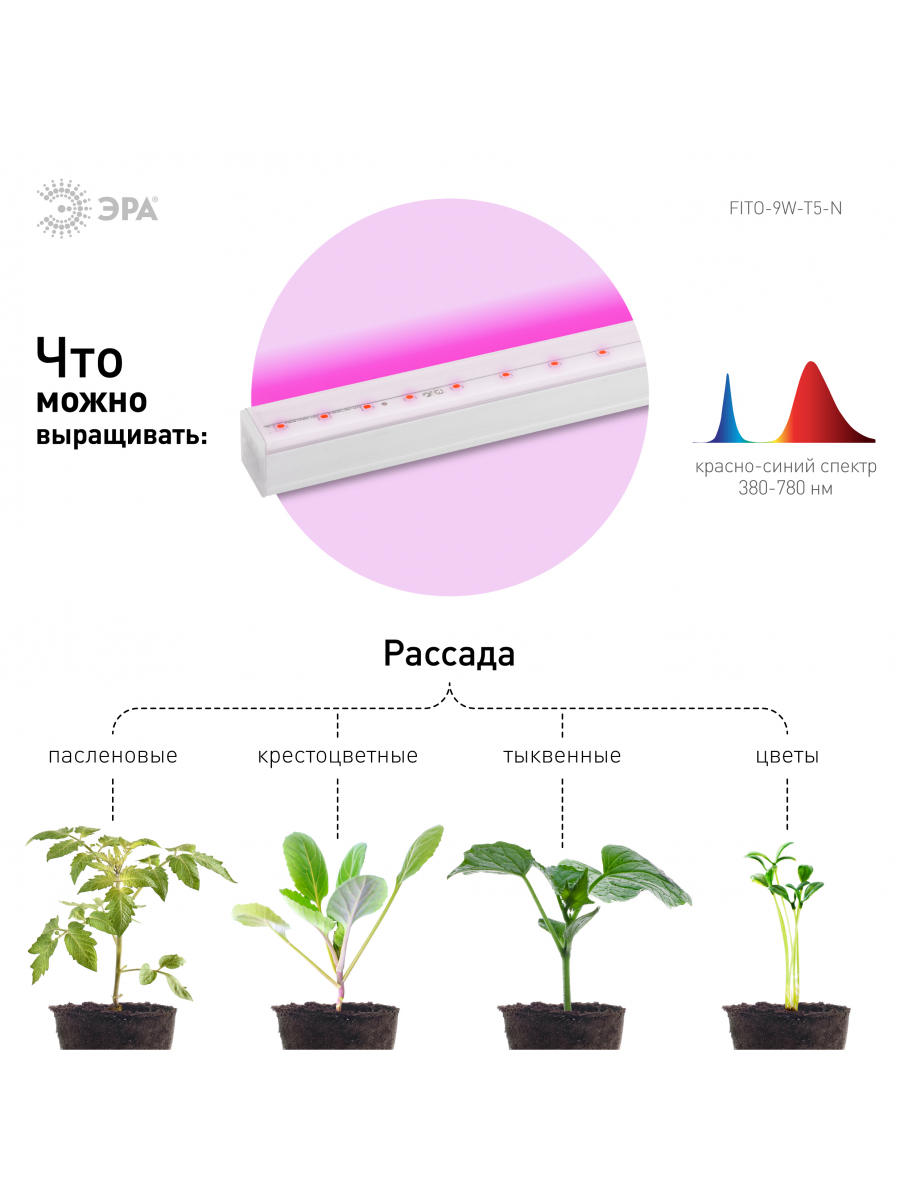 Изображение товара ЭРА FITO-9W-Т5-N линейный фитосветильник