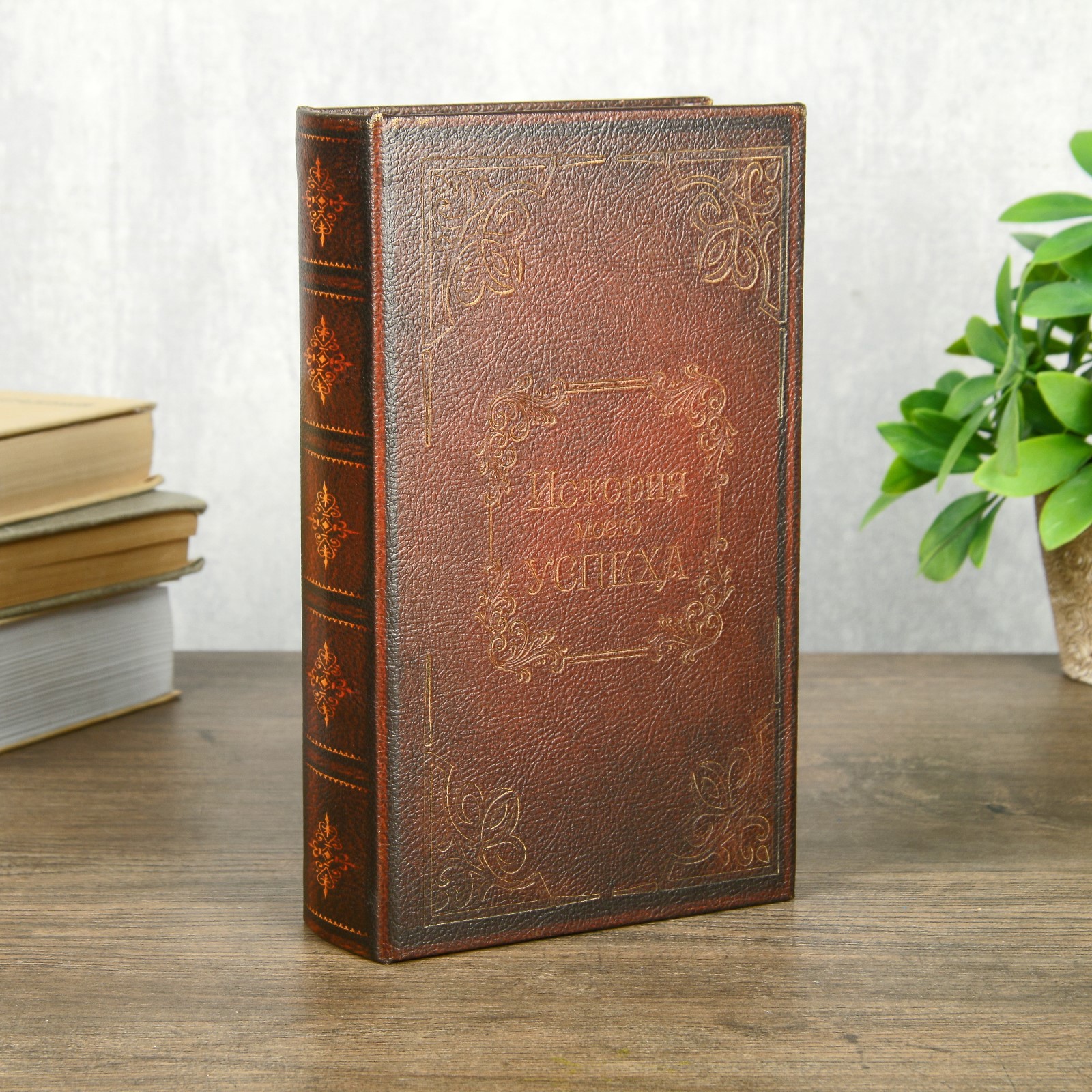 Изображение товара Шкатулка История моего успеха Сейф-книга 5x14,5x21 см