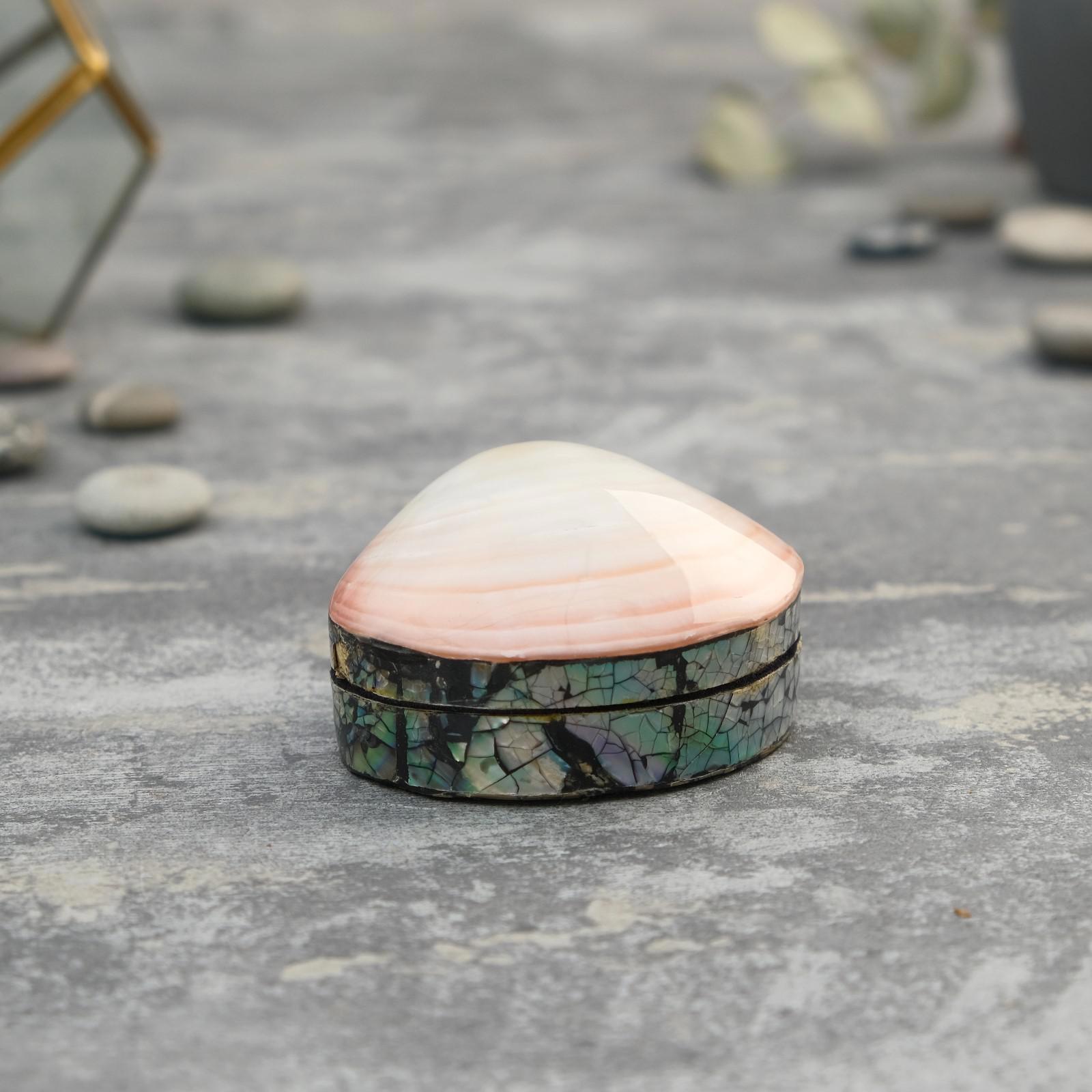 Изображение товара Шкатулка универсальная "Оттай" 7x4.5x3 см ракушка