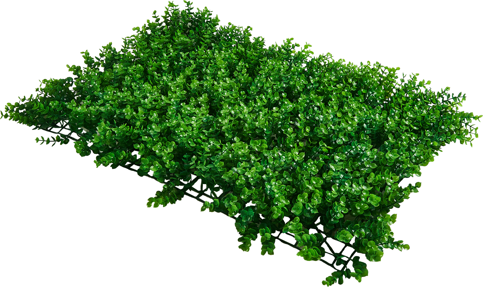 Изображение товара Фитопанно Зелёный бархат 40x60