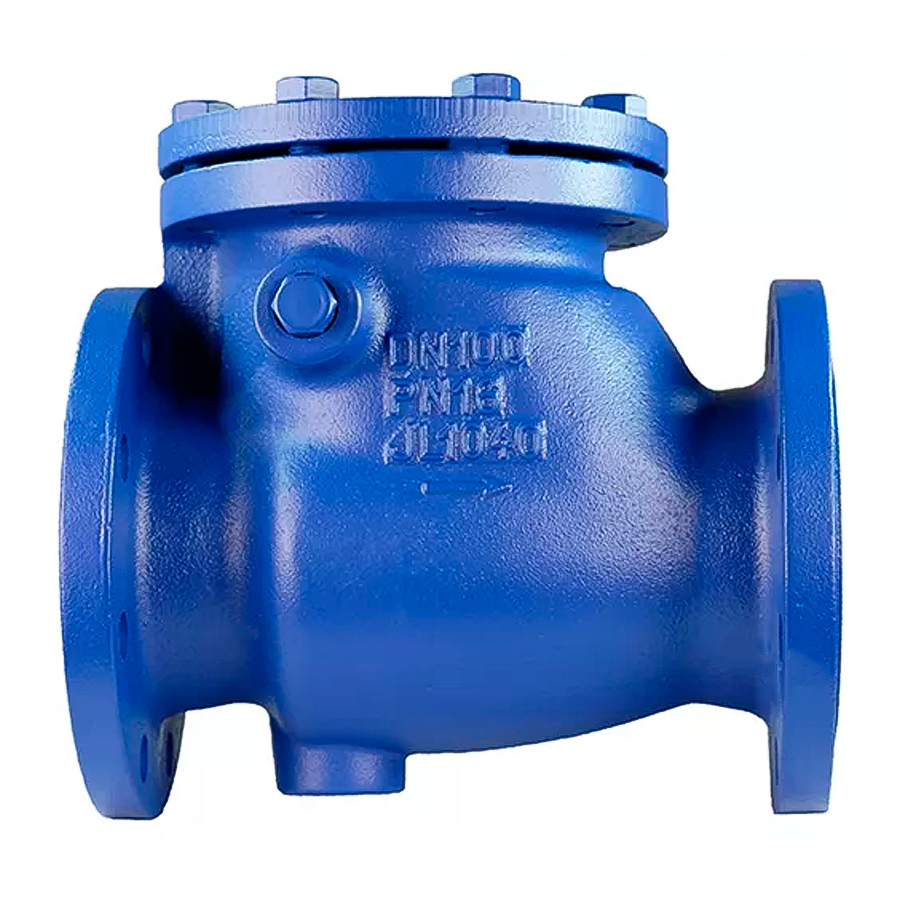 Изображение товара Обратный клапан DN.ru 302A Ду80 фланцевый для систем водоснабжения и отопления