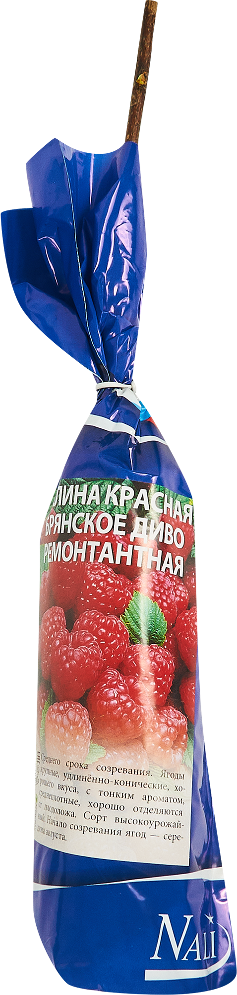 Изображение товара Малина Брянское диво красная пакет ø9 h40 см Изображение товара Малина Брянское диво красная пакет ø9 h40 см
