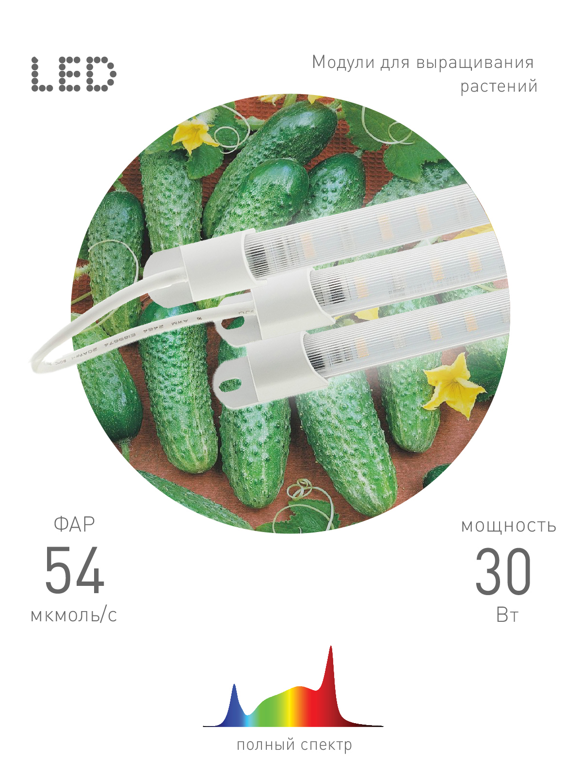 Изображение товара Фитосветильник светодиодный ЭРА FITO-3x10W-LINE-Ra90 линейный 535 мм 30 Вт полного спектра для растений и рассады нейтральный белый свет