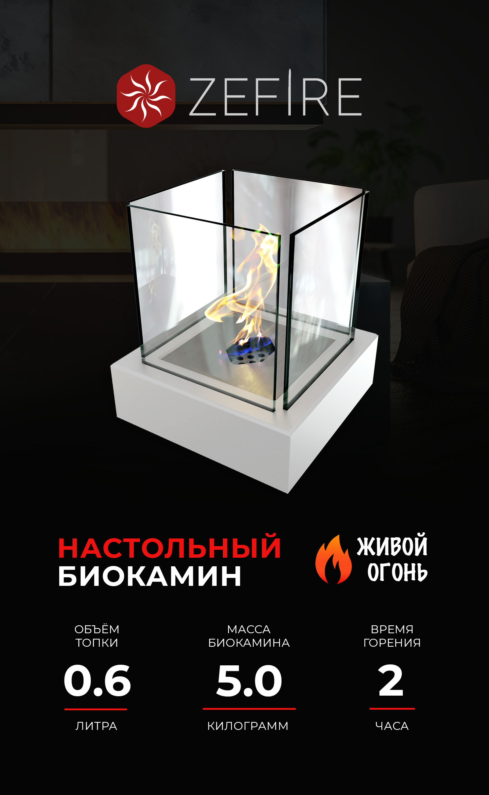 Изображение товара Биокамин настольный ZeFire Quant metall белый