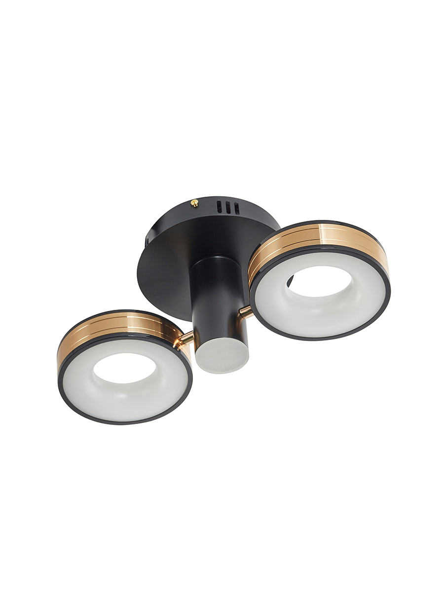 Изображение товара Потолочный светодиодный светильник ARTE PERFETTO LUCE модель тип С 40 Вт для дома