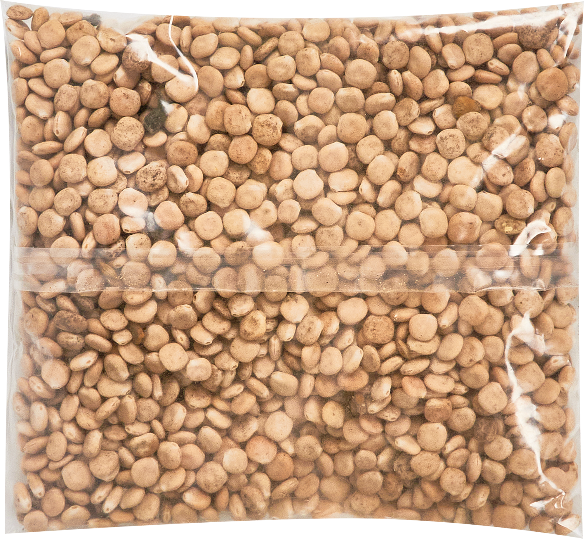 Бассейндегі эротикалық бейне Телевизиялық порно арналарды қараңыз