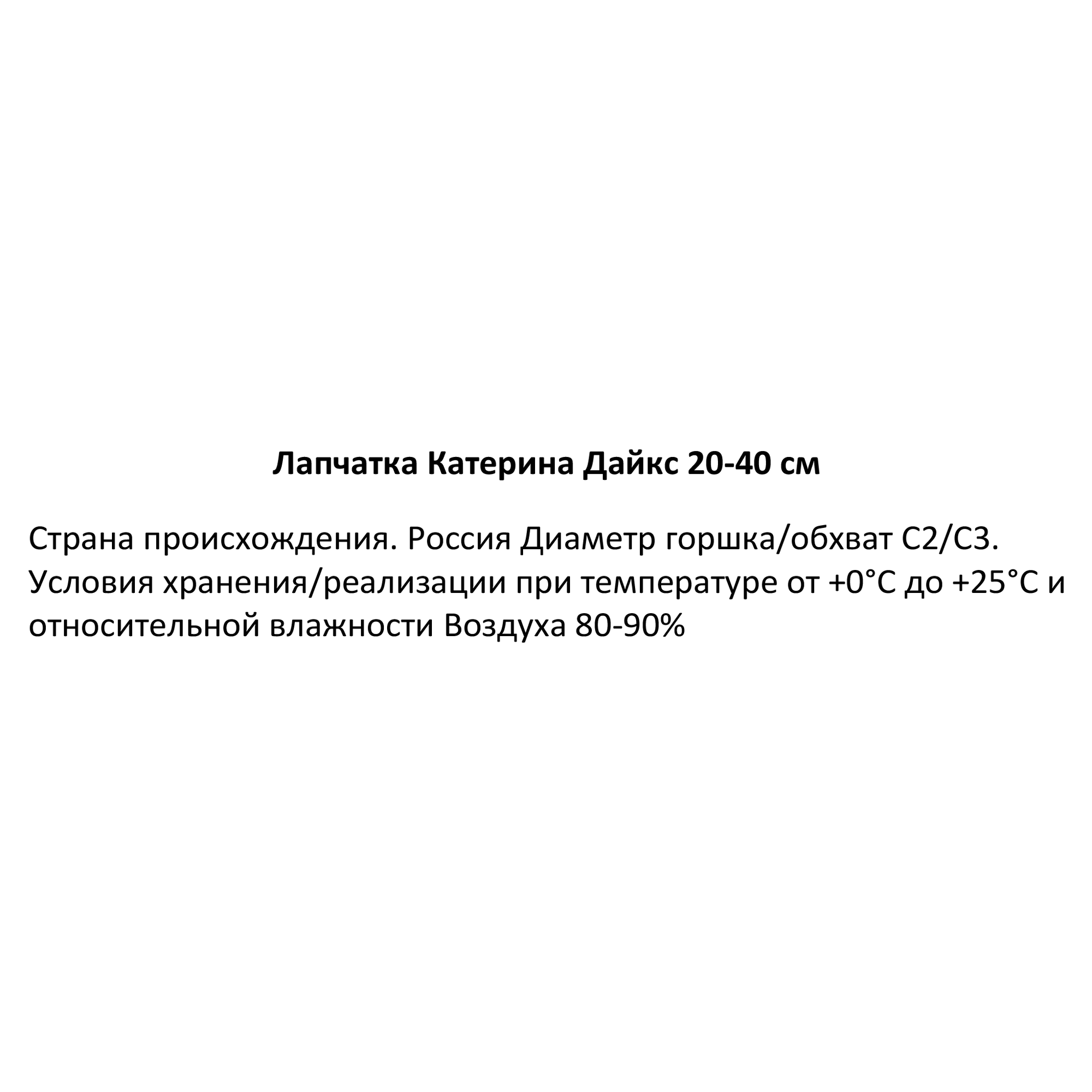 Изображение товара Лапчатка Катерина Дайкс ø19 h20-40 см Изображение товара Лапчатка Катерина Дайкс ø19 h20-40 см