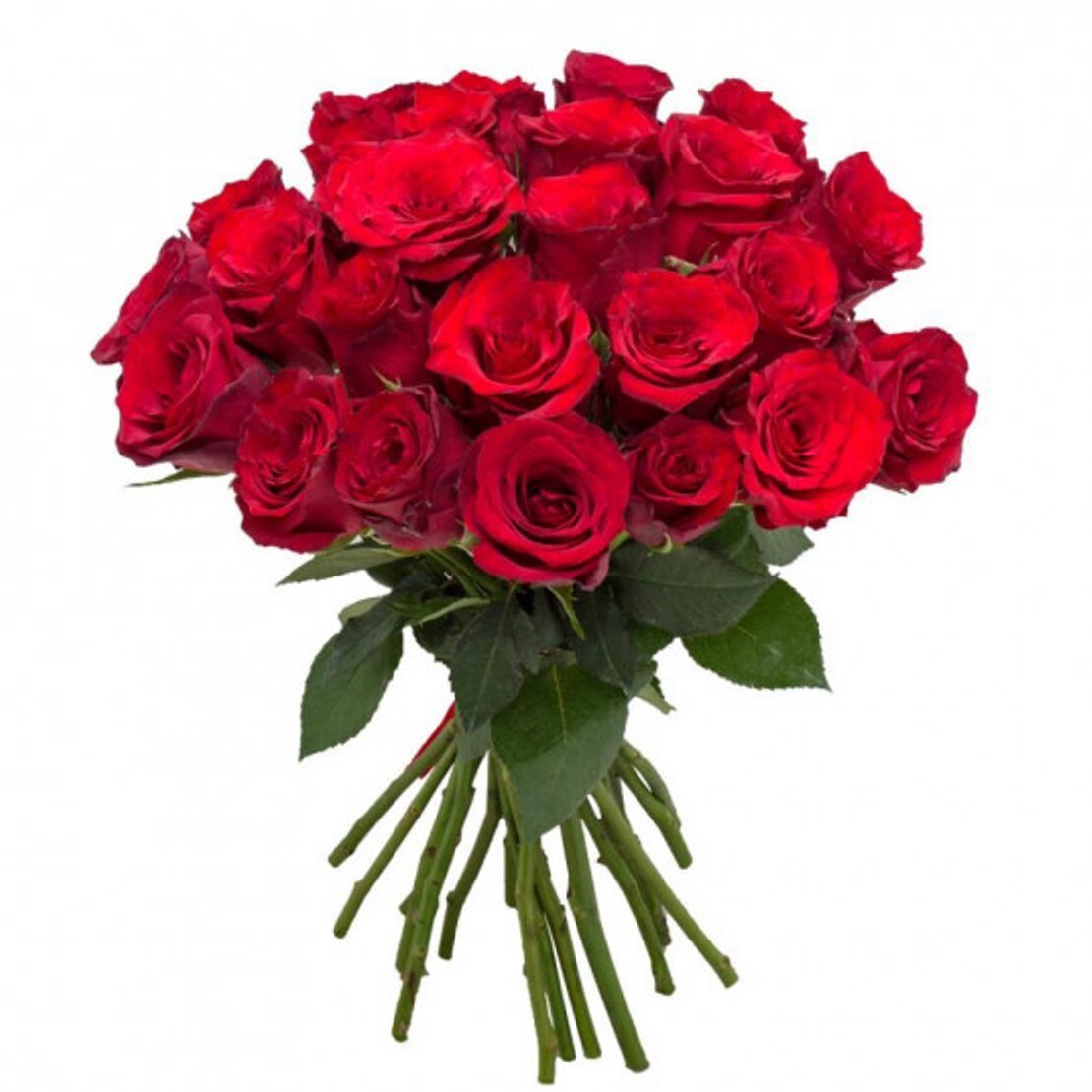 Изображение товара Букет Роза h40 см 25 шт