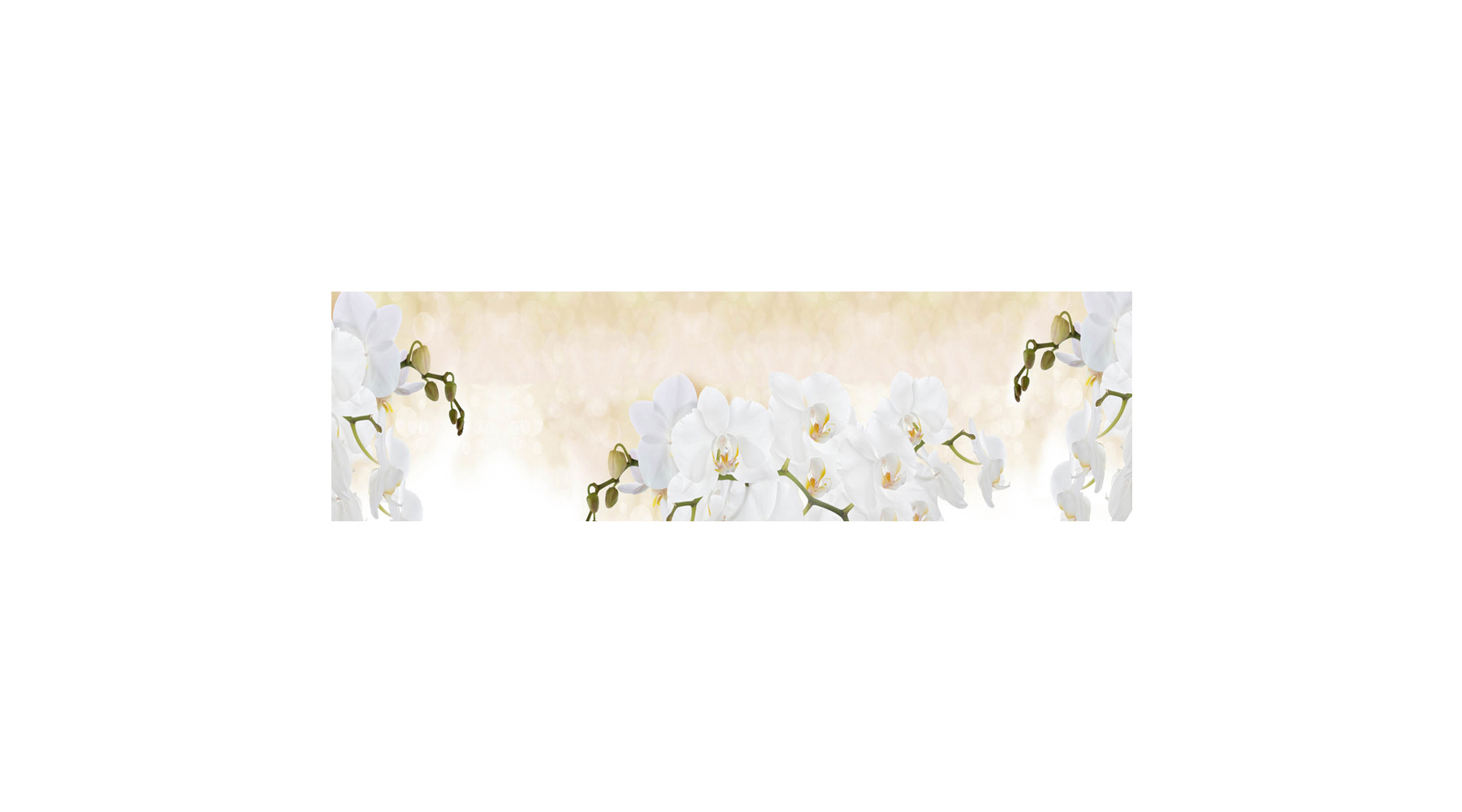 Изображение товара Стеновая панель Студия Фартуков Ветки орхидей на бежевом фоне 200x60x0.2 см поликарбонат цвет разноцветный