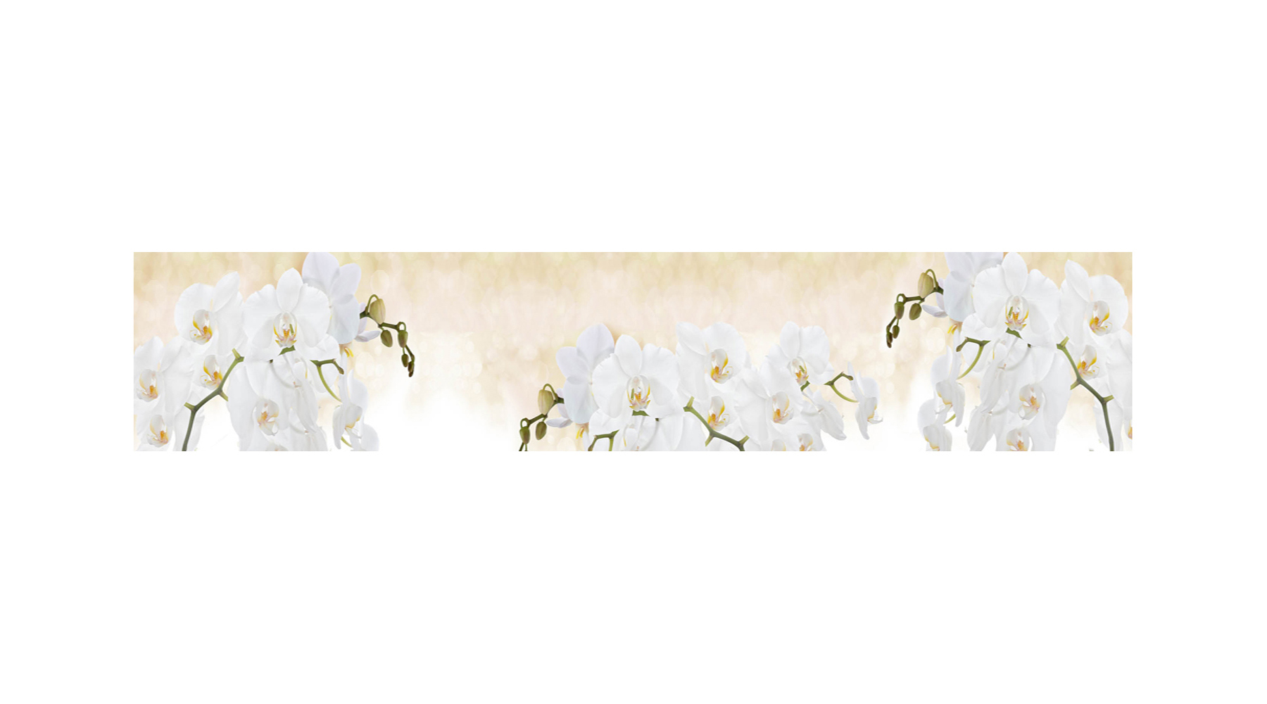 Изображение товара Стеновая панель Студия Фартуков Ветки орхидей 300x60 см поликарбонат