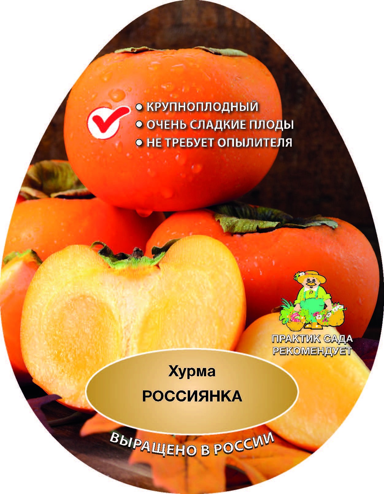 Изображение товара Хурма Россиянка сетка h200 см