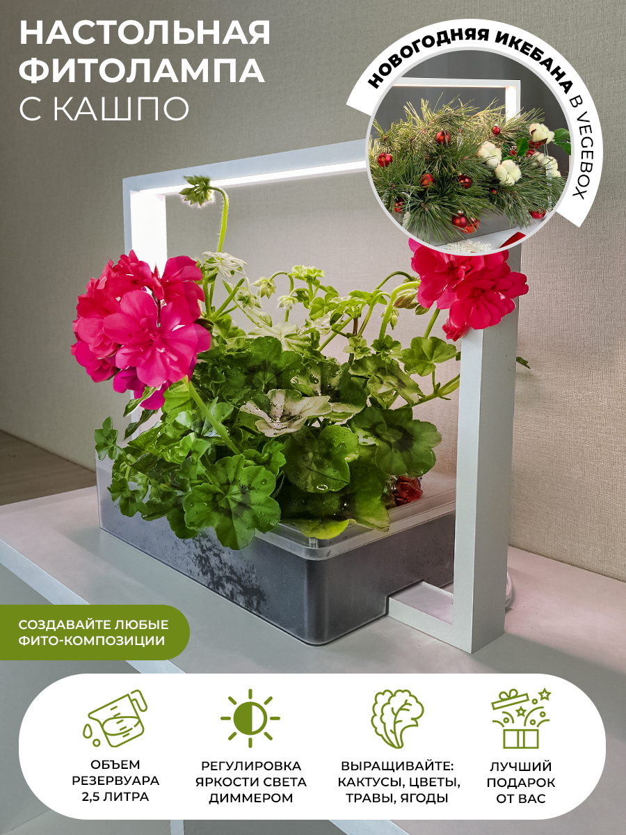 Изображение товара Умный сад с фитолампой для растений V-Frame Vegebox 18 см 2.5 л пластик черный