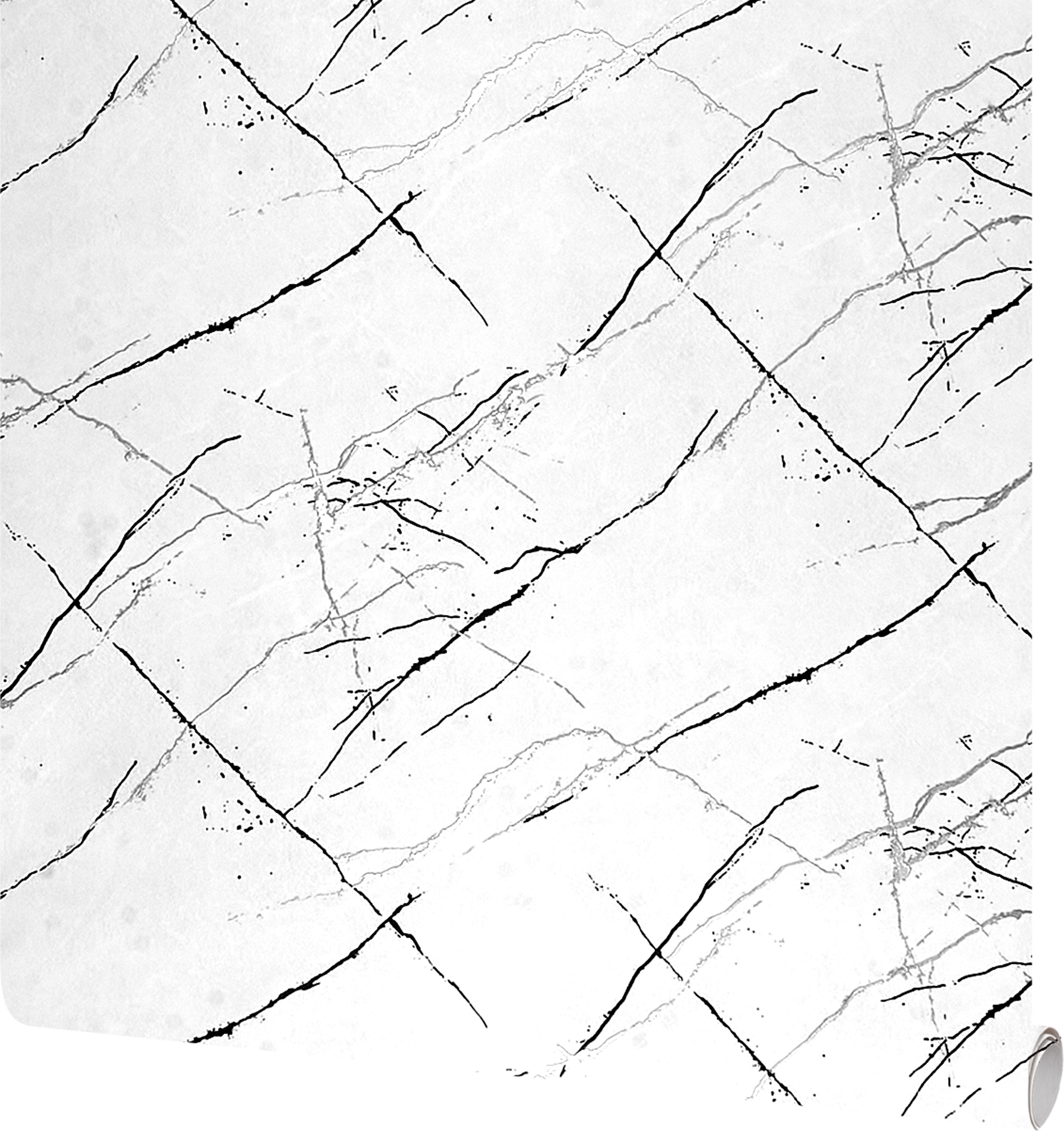 Изображение товара Обои флизелиновые Ateliero Rinaldi черно-белые, 1.06 м, 10 м