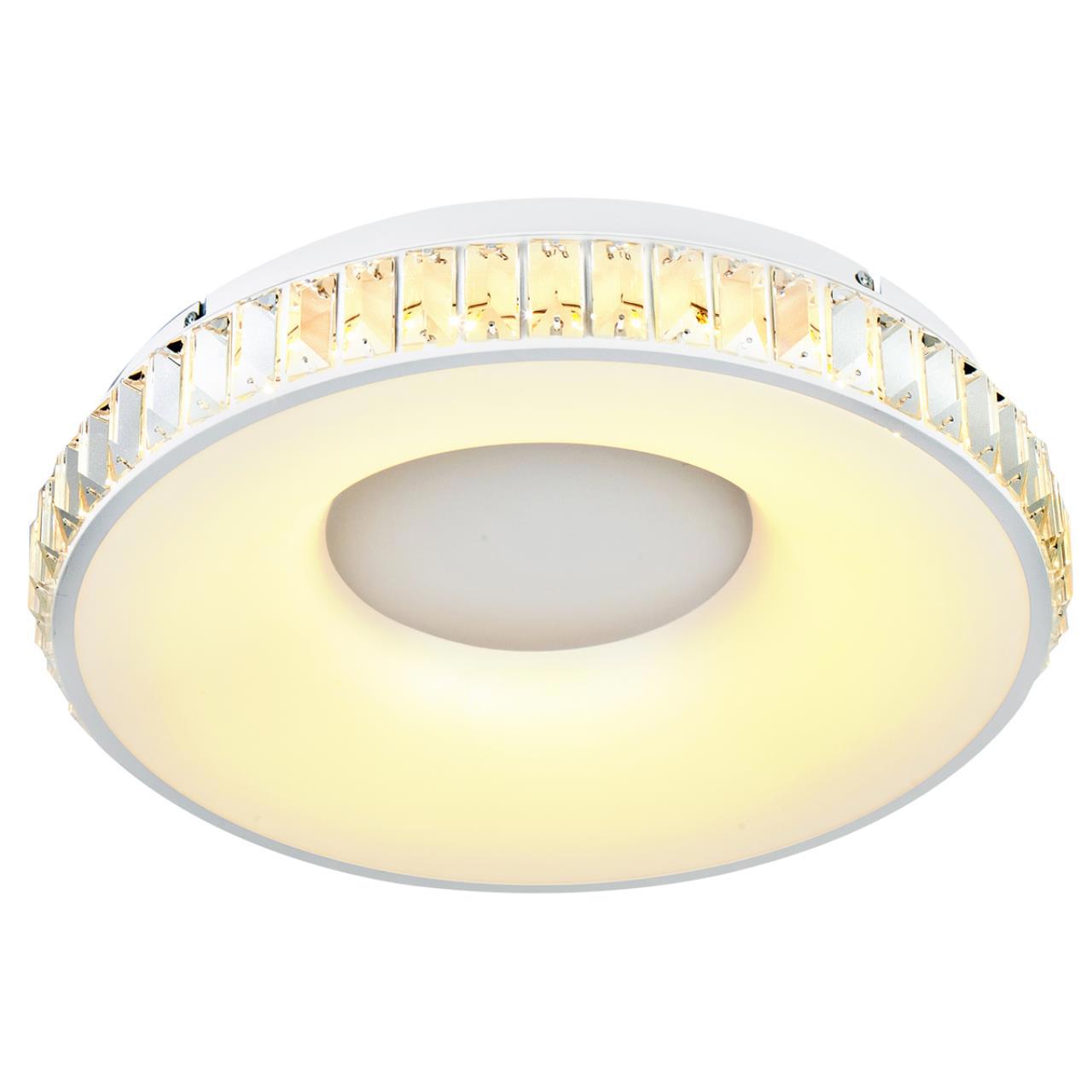 Изображение товара Светильник настенно-потолочный светодиодный ESCADA 10214-1LED 15 м² нейтральный белый свет цвет белый
