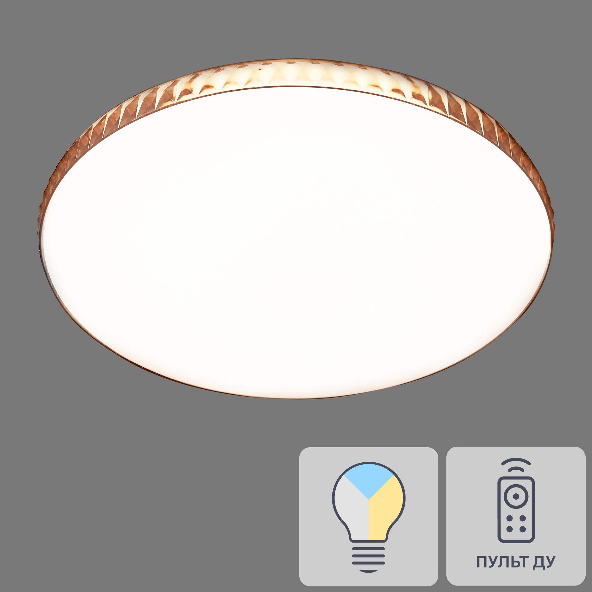 Изображение товара Светильник настенно-потолочный Dina Amber 2078/EL с пультом регулировки белый