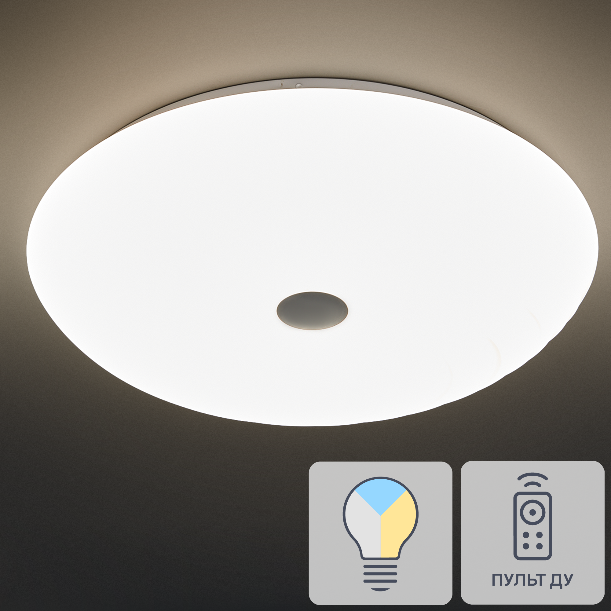 Изображение товара Настенный светильник Lumion Florsa 3060/EL с регулировкой белого света, IP43, пульт