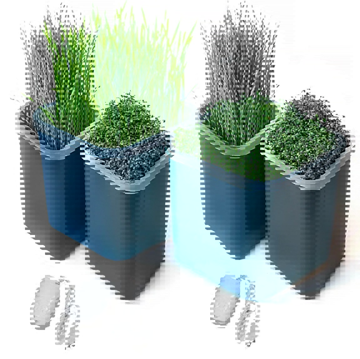 Изображение товара Проращиватель семян Лето с компрессором двухмодульный цвет графит