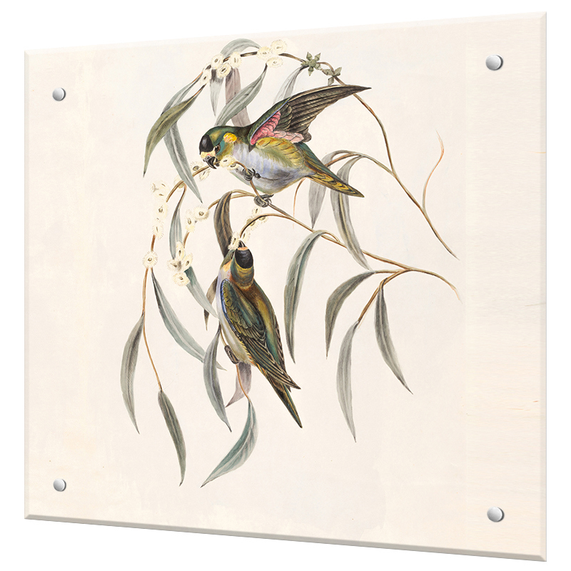 Изображение товара Декоративный кухонный фартук Borntoprint Две птицы 60x55 см закаленное стекло прозрачный