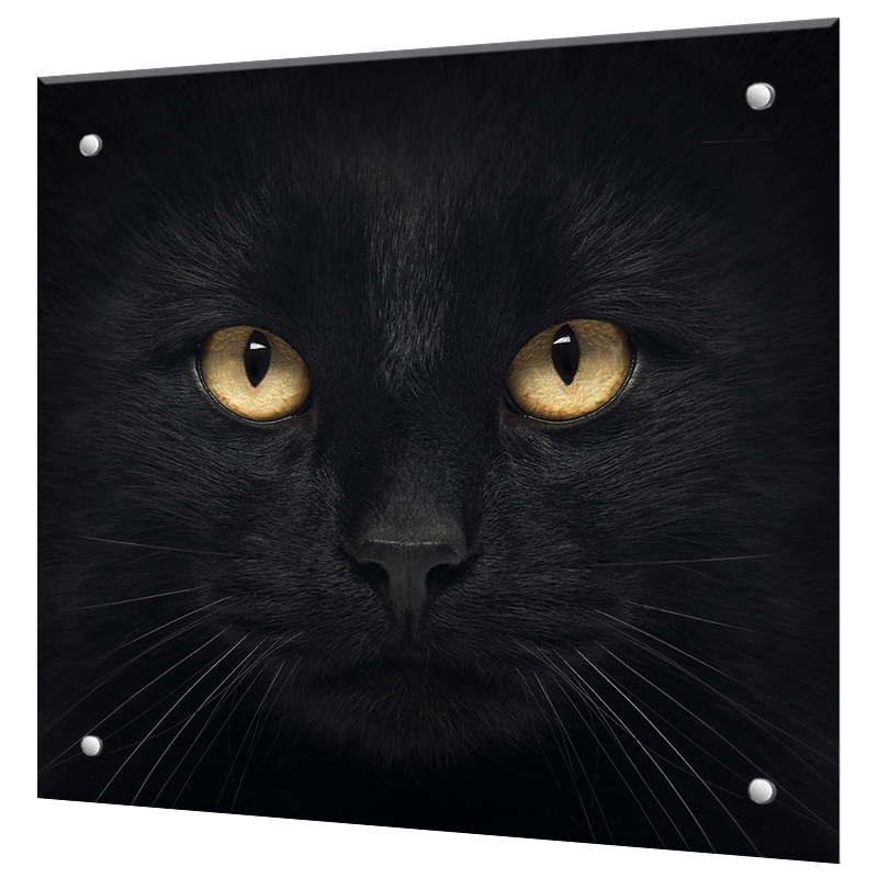 Изображение товара Декоративный кухонный фартук Borntoprint Черный кот 60x55 см
