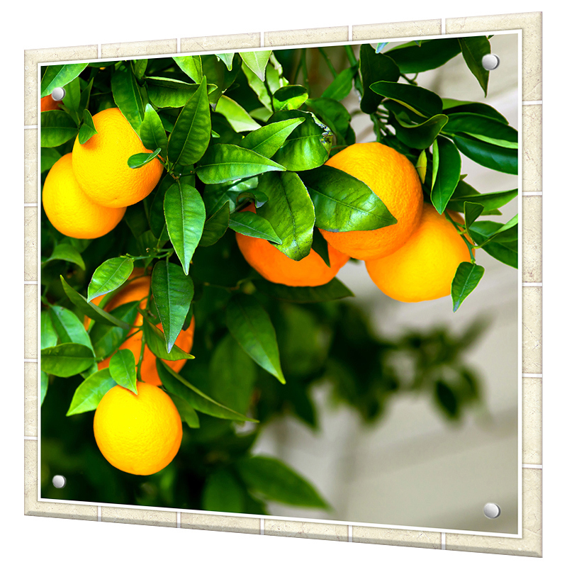 Изображение товара Стеновая панель Borntoprint Апельсиновое дерево из закаленного стекла 600x500 мм