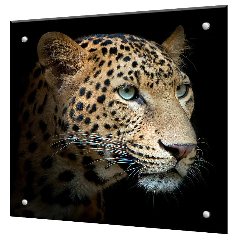 Изображение товара Стеновая панель Borntoprint Леопард 60x50 см из закаленного стекла для кухни