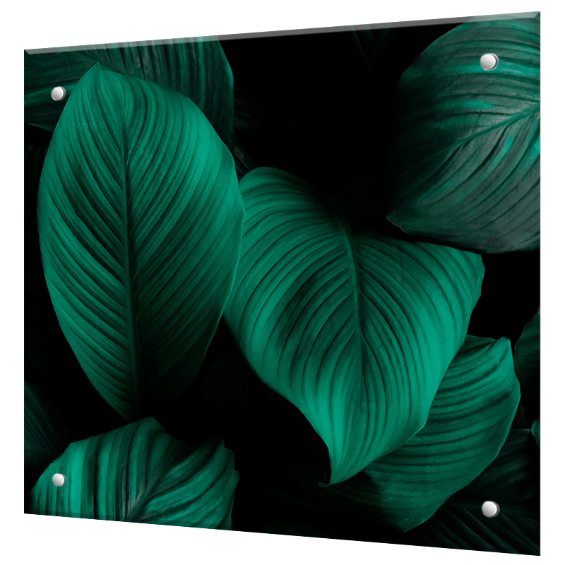 Изображение товара Стеновая панель Borntoprint Листья из закаленного стекла 60x55x4 см