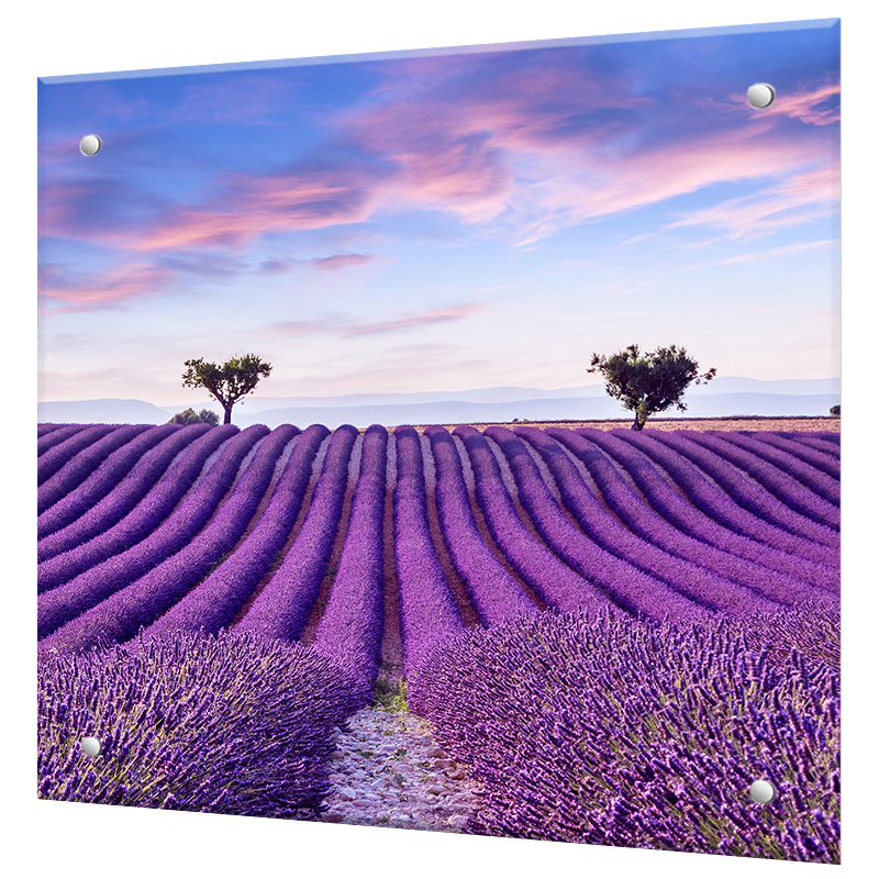 Изображение товара Стеновая панель Borntoprint Поле лаванды 60x60x4 см закаленное стекло цвет прозрачный