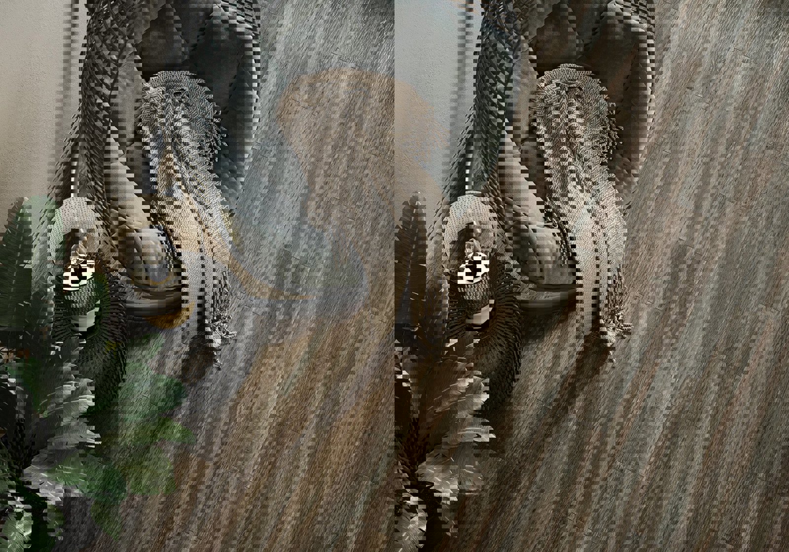 Изображение товара Керамогранит Alma ceramica GFA92CHR44R 20x90 см коричневый матовый