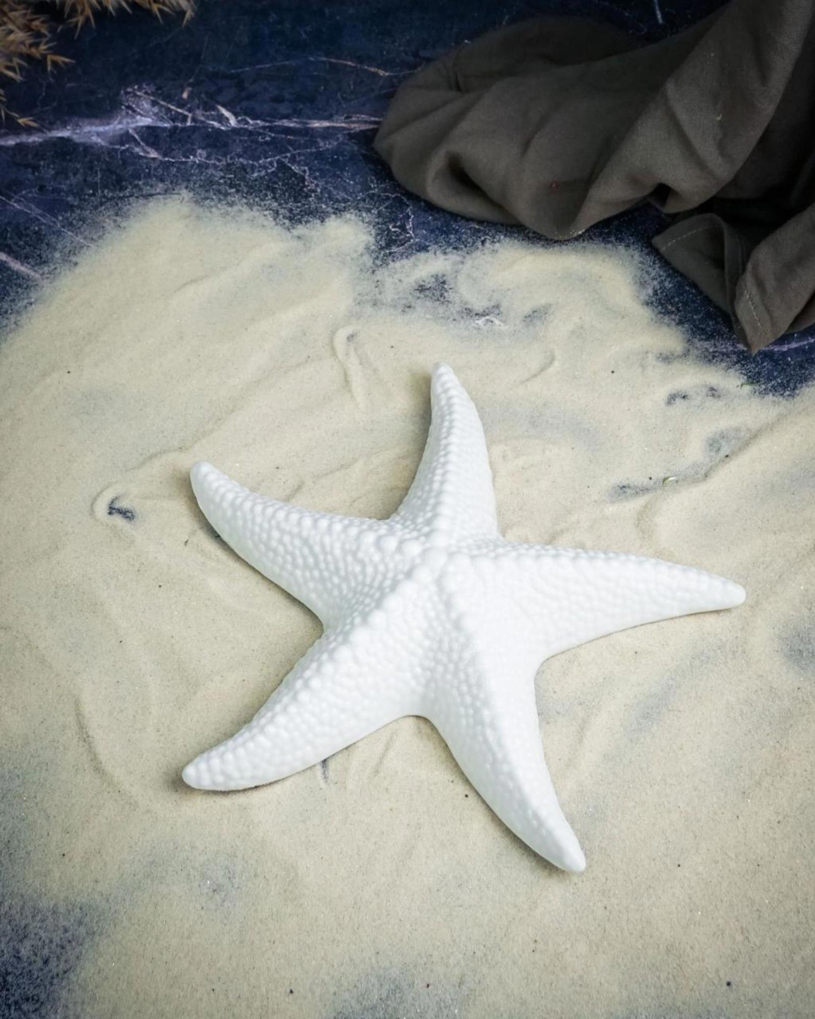 Изображение товара Cosy & Trendy Морская звезда — декоративная керамическая статуэтка, белая, 19,5 см