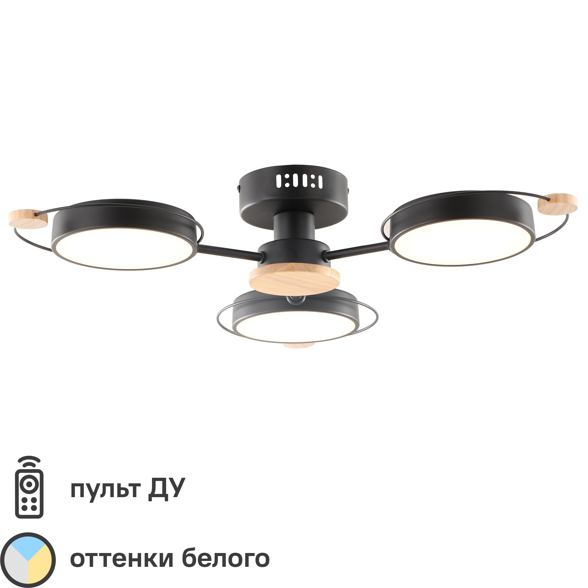 Изображение товара Люстра потолочная светодиодная Lamplandia Bergen Black L1479 с пультом управления, 15 м²,регулируемый белый свет, цвет черный