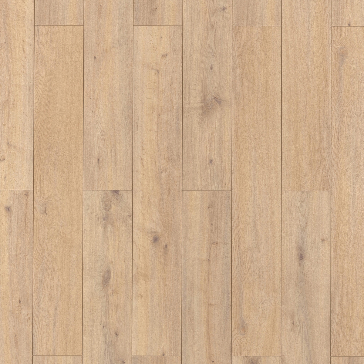 Изображение товара Ламинат Egger Classic Дуб Плейгрин Натуральный 33 класс толщина 12 мм с фаской 1.496 м², цена за упаковку