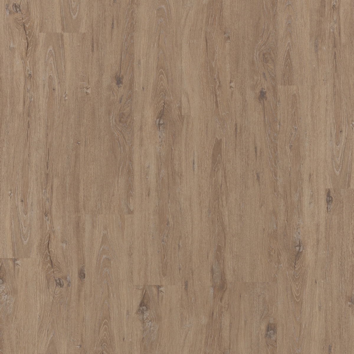 Изображение товара Ламинат Egger Classic Дуб Ла-Манча 8 мм 33 класс влагостойкий, 19.3x129.2 см