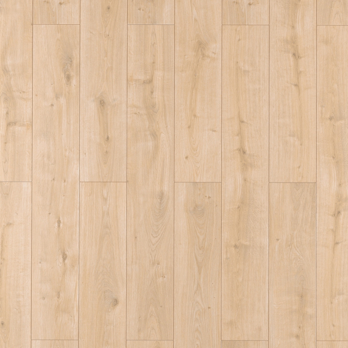 Изображение товара Ламинат Egger Classic Дуб Даннингтон Светлый 33 класс 8 мм с фаской 1.995 м²