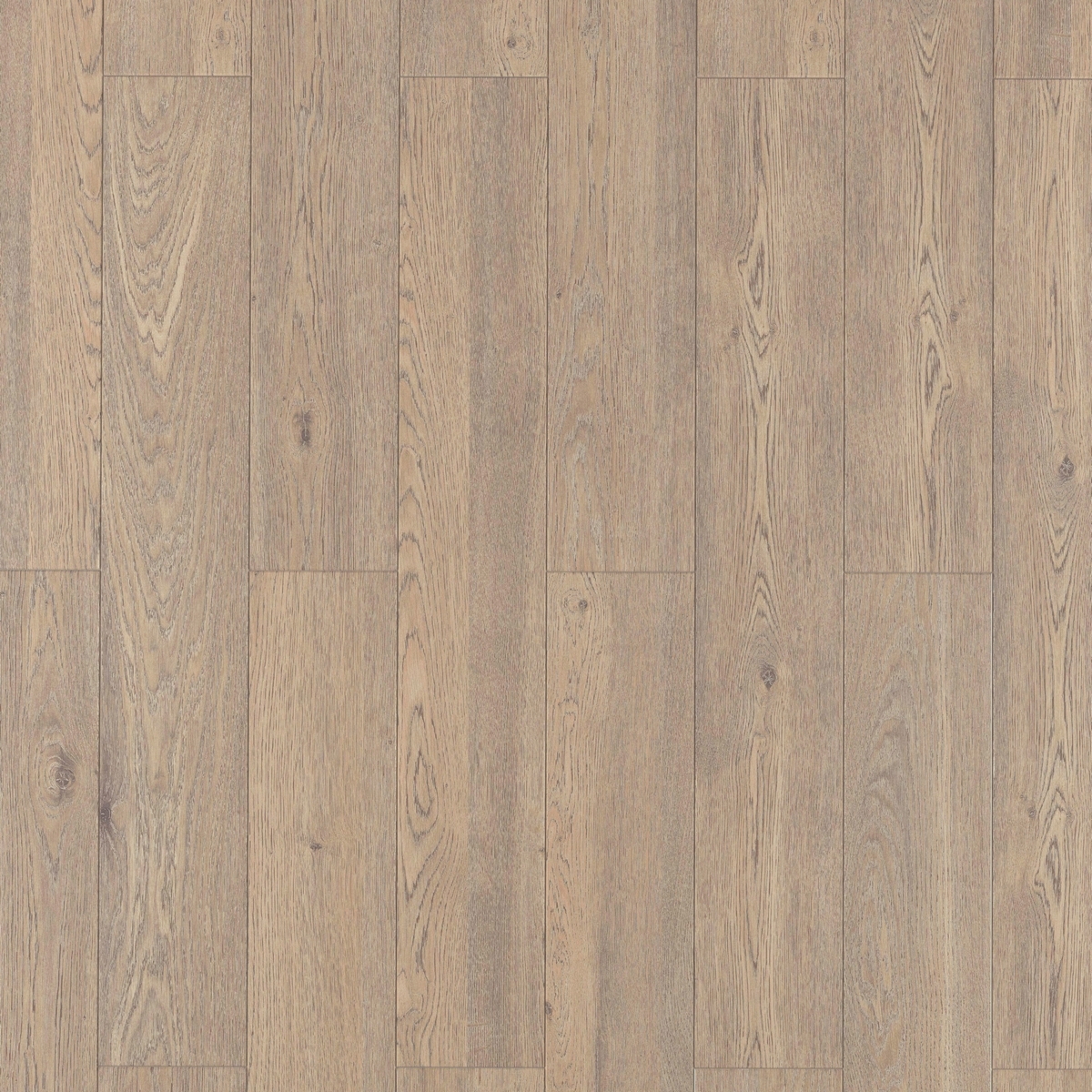 Изображение товара Ламинат Egger Classic Дуб Чезена серый 12 мм 33 класс фаска 1.5 м2